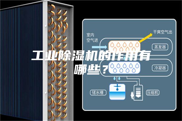 工業(yè)除濕機的作用有哪些？