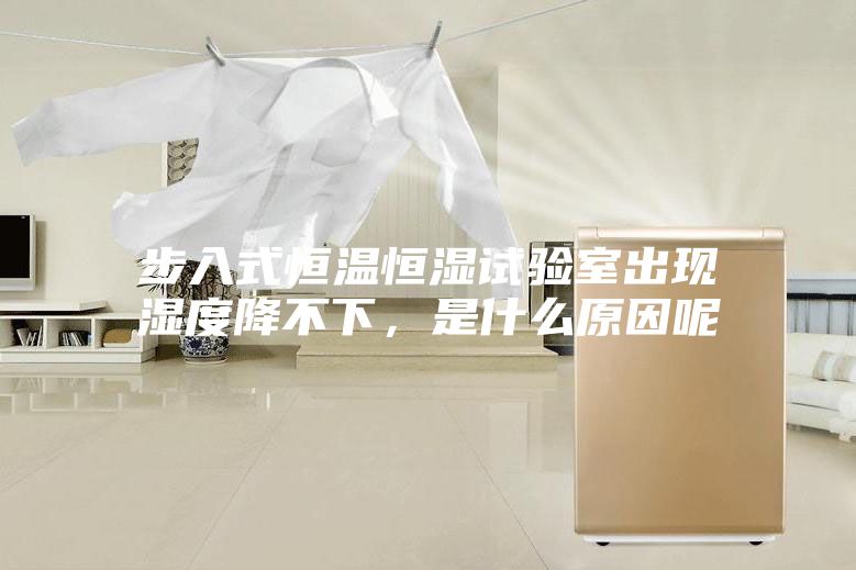 步入式恒溫恒濕試驗室出現濕度降不下，是什么原因呢
