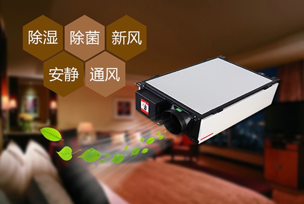 除濕機(jī)選項(xiàng)回答疑問，解決你的一切疑問。