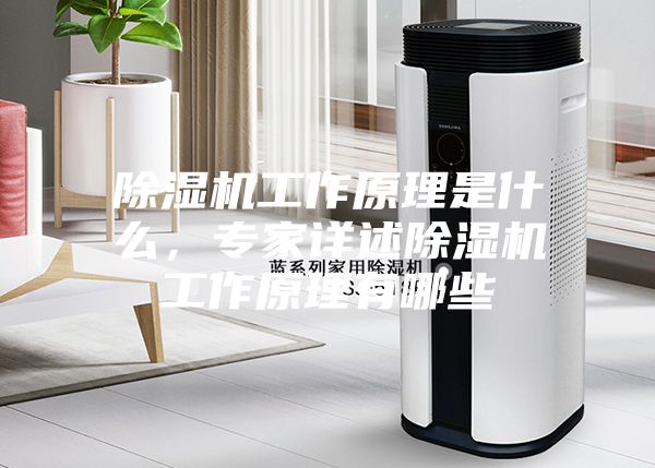 除濕機工作原理是什么，專家詳述除濕機工作原理有哪些