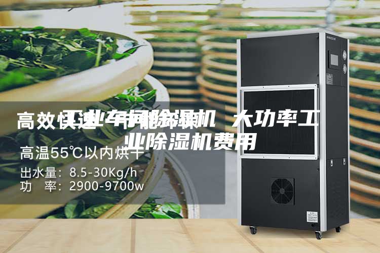 工業(yè)車間除濕機(jī) 大功率工業(yè)除濕機(jī)費用