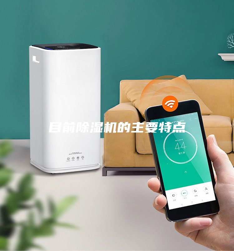 目前除濕機(jī)的主要特點