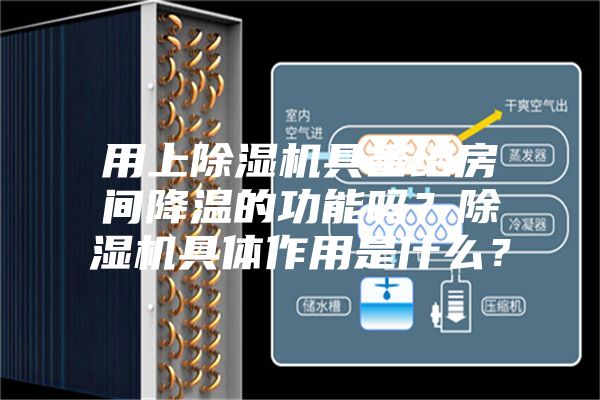 用上除濕機(jī)具備給房間降溫的功能嗎？除濕機(jī)具體作用是什么？