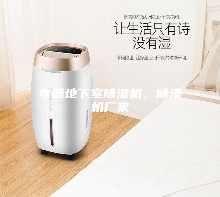 孝感地下室除濕機(jī)，除濕機(jī)廠(chǎng)家