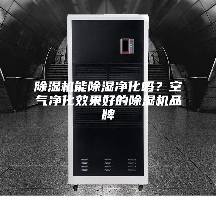 除濕機能除濕凈化嗎？空氣凈化效果好的除濕機品牌