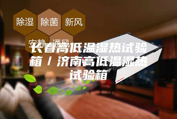長春高低溫濕熱試驗箱／濟(jì)南高低溫濕熱試驗箱