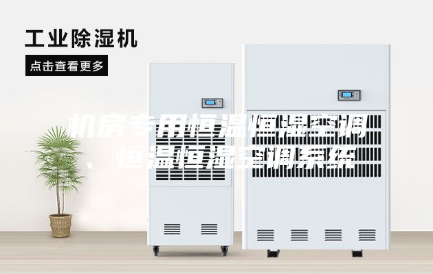 機(jī)房專用恒溫恒濕空調(diào)、恒溫恒濕空調(diào)系統(tǒng)