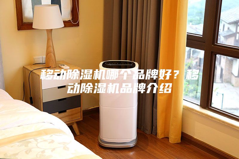 移動除濕機哪個品牌好？移動除濕機品牌介紹