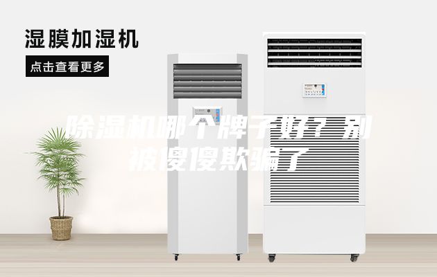 除濕機哪個牌子好？別被傻傻欺騙了