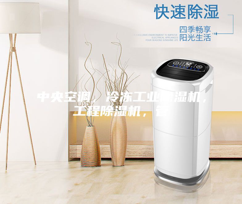 中央空調(diào)，冷凍工業(yè)除濕機，工程除濕機，管