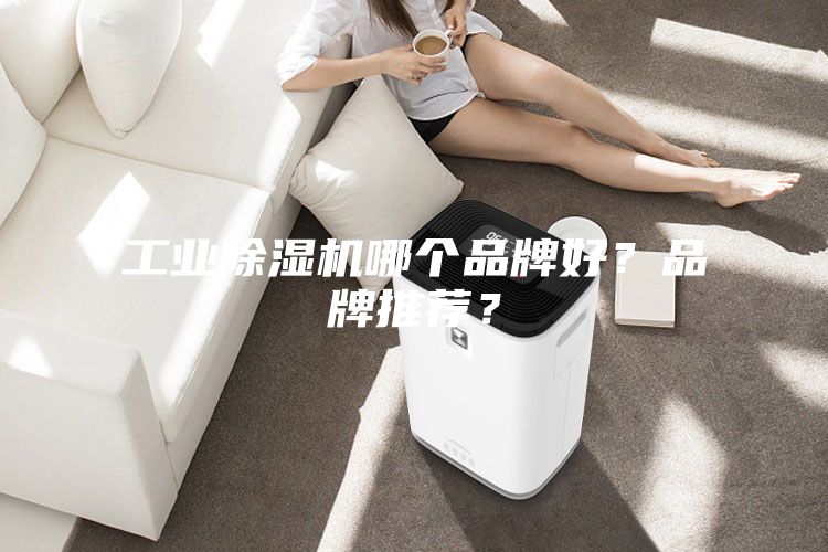 工業除濕機哪個品牌好？品牌推薦？