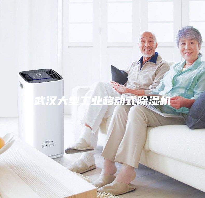 武漢大型工業移動式除濕機