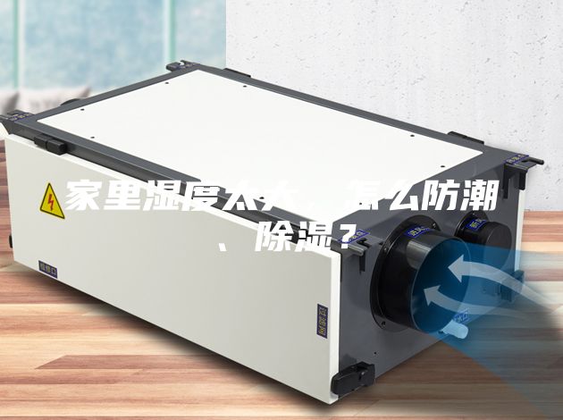家里濕度太大，怎么防潮、除濕？