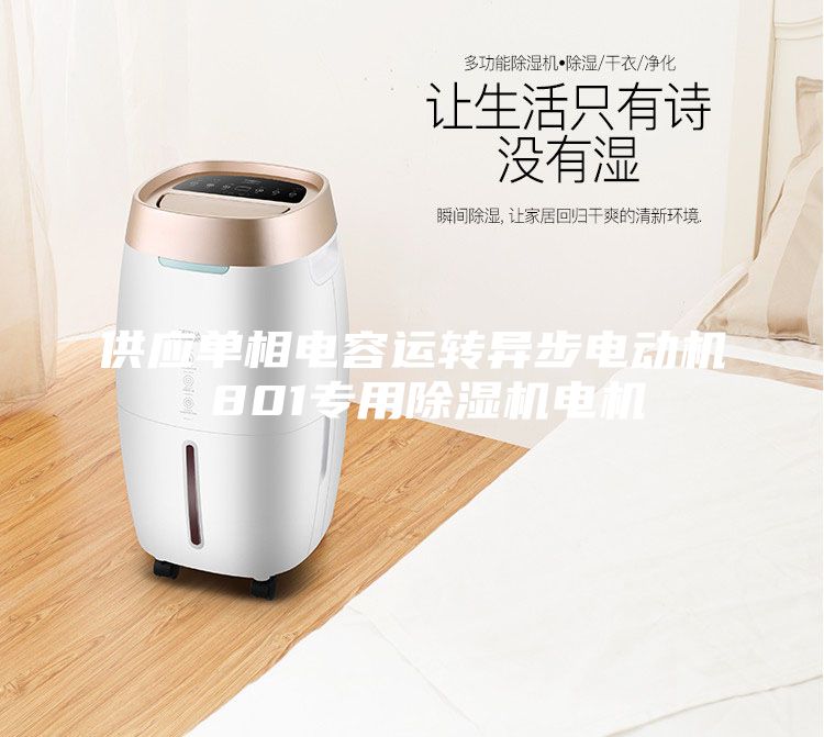 供應單相電容運轉(zhuǎn)異步電動機 801專用除濕機電機