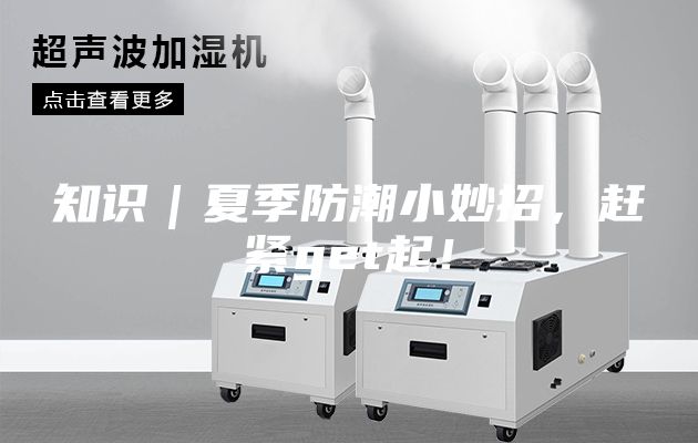 知識｜夏季防潮小妙招，趕緊get起！