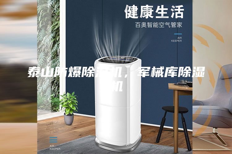 泰山防爆除濕機，軍械庫除濕機