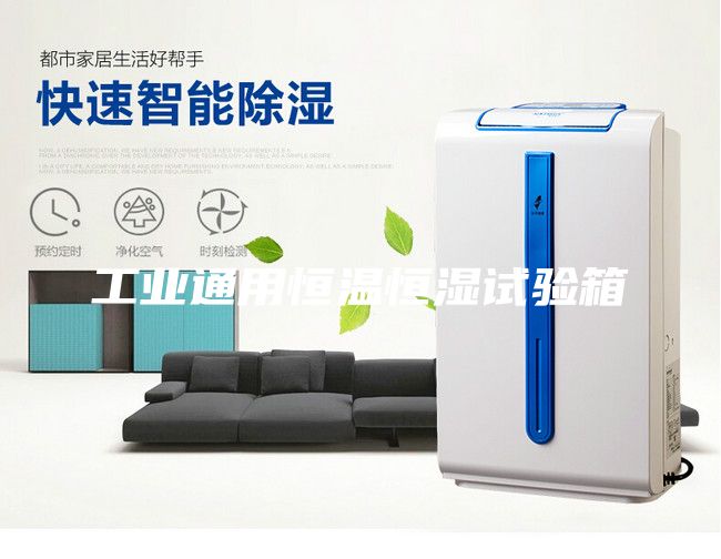 工業通用恒溫恒濕試驗箱