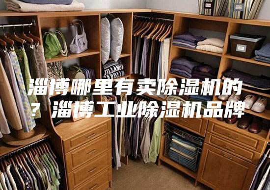 淄博哪里有賣除濕機(jī)的？淄博工業(yè)除濕機(jī)品牌
