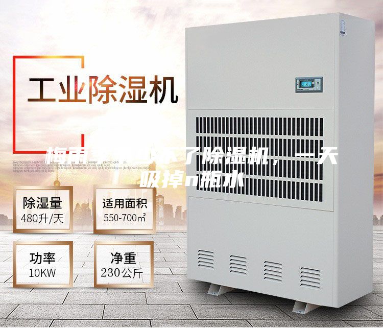 梅雨季節少不了除濕機，一天吸掉n瓶水