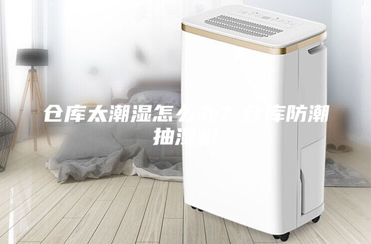 倉庫太潮濕怎么辦？倉庫防潮抽濕機