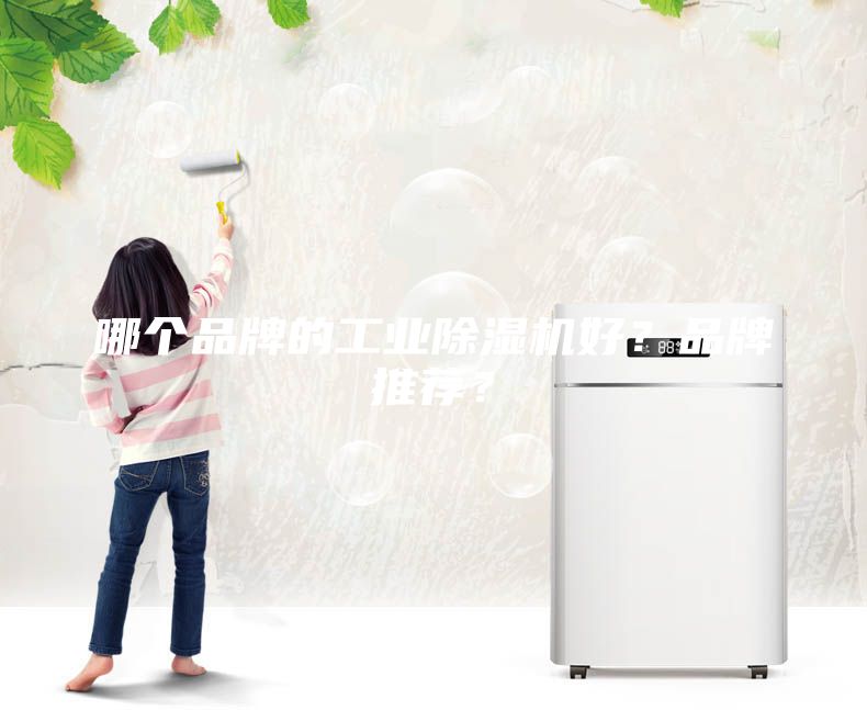 哪個品牌的工業(yè)除濕機好？品牌推薦？
