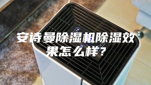安詩曼除濕機除濕效果怎么樣？