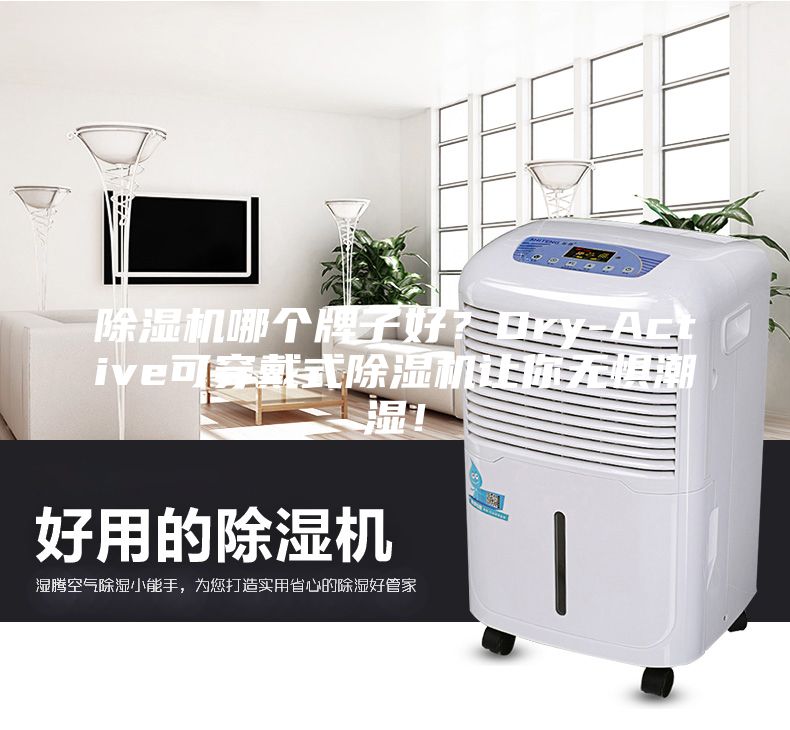 除濕機哪個牌子好？Dry-Active可穿戴式除濕機讓你無懼潮濕！