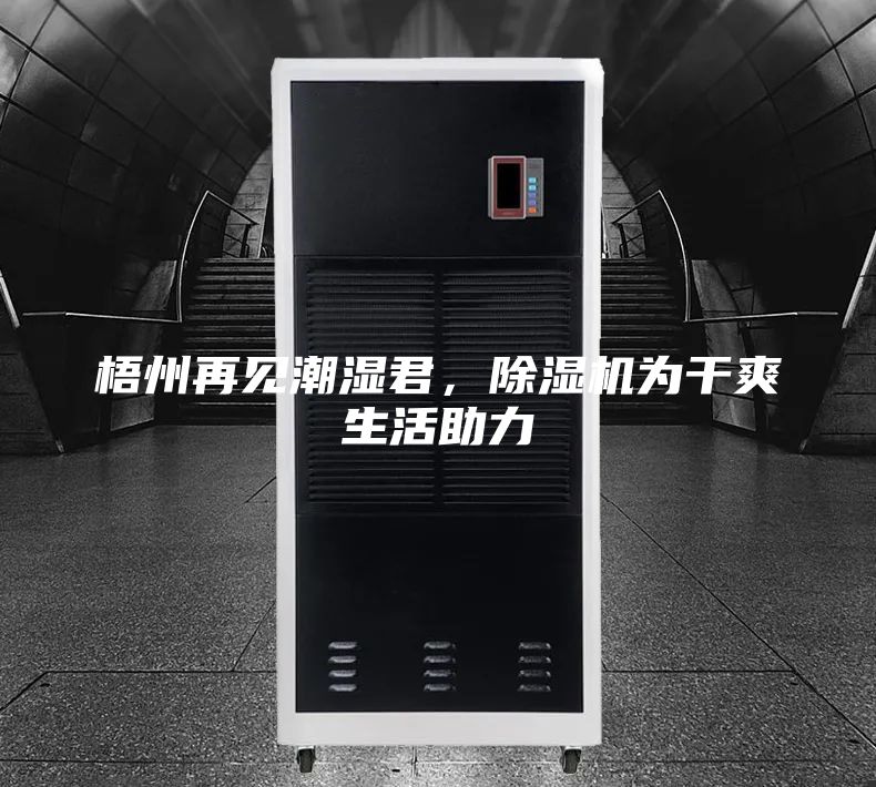 梧州再見潮濕君，除濕機為干爽生活助力