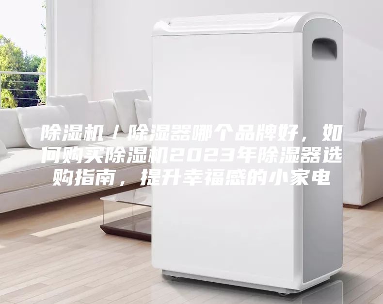 除濕機(jī)／除濕器哪個(gè)品牌好，如何購買除濕機(jī)2023年除濕器選購指南，提升幸福感的小家電