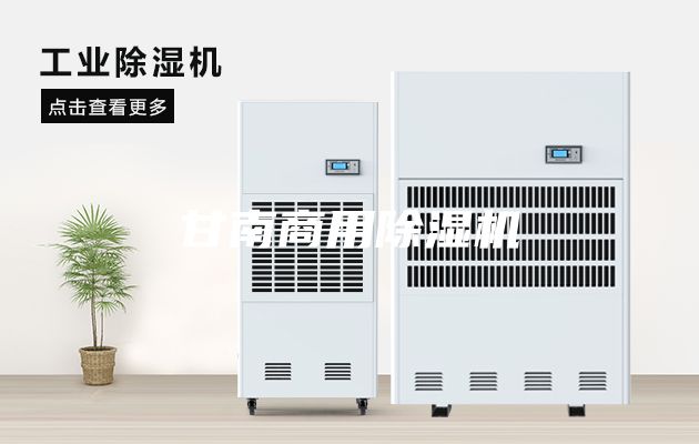 甘南商用除濕機