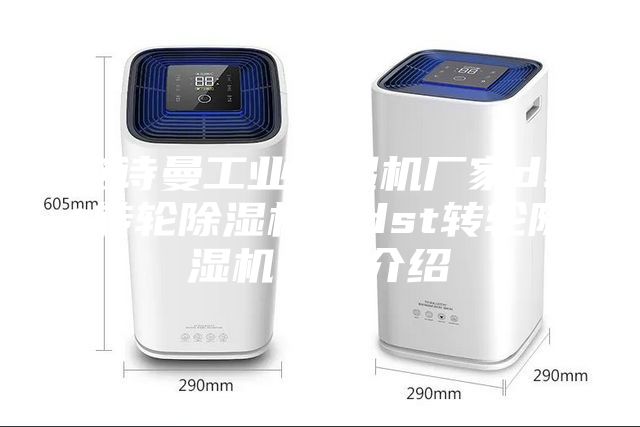 安詩曼工業(yè)除濕機廠家dst轉(zhuǎn)輪除濕機—dst轉(zhuǎn)輪除濕機分析介紹